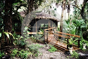 Early morning inside subtropical forest with thatched hut