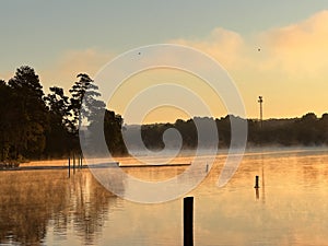 Early morning lake visits