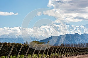 Andes mountain range, in the Argentine province of Mendoza