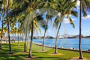 Early morning light in Bayfront Park Miami