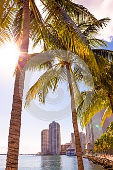 Early morning light in Bayfront Park Miami