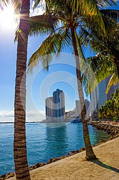 Early morning light in Bayfront Park Miami