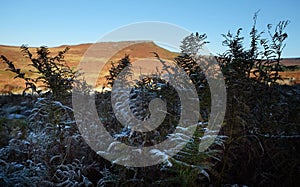 Early morning light frosty mushroom hathersage moors photo