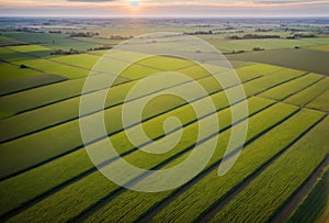Early morning light over a patchwork of agricultural fields viewed from a drone. AI generated.
