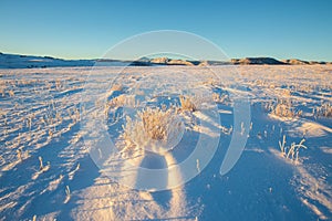 The early morning light on the snow covered and wind swept prairie.