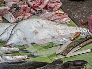 Early morning market in Luang Phabang. Laos