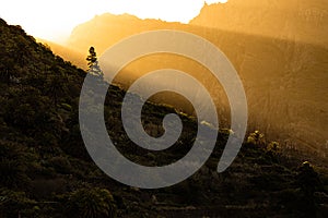 Early morning in Masca valley, Tenerife, Spain