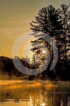 Sunrise Paints A Misty Canadian Lake Golden