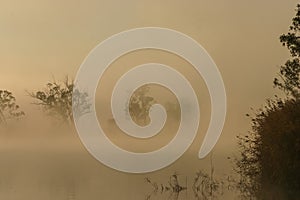 Early morning mist and fog on the Murray River near Wakerie in South Australia