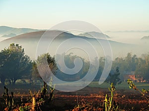 Early morning mist in Myanmar highlands