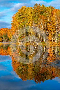 Early Morning Mist on a Northwoods Lake