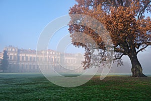 Early morning mist at the Royal Villa gardens