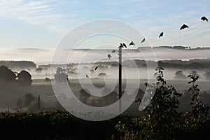 Early morning mist - United Kingdom