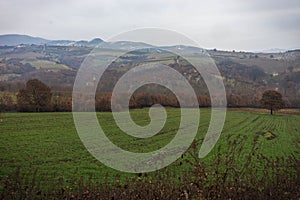 Early morning in the mountains, field and fog photo