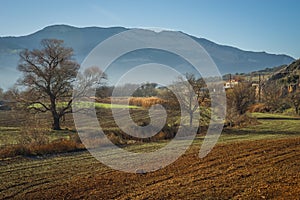 Early morning in the mountains, field and fog