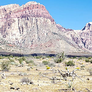 First Creek Trail, Red Rock National Conservation Area, Nevada