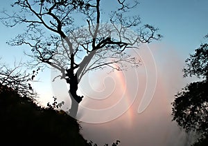 Early morning rainbow on Victoria Falls spray