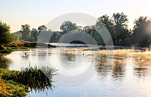 Early morning river scene with mist and trees