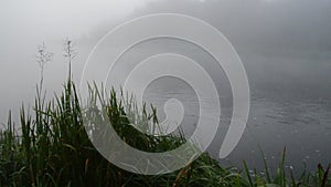 Early morning river water flow in misty fog and shore flora