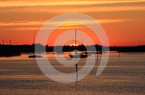 Early Morning Sailing in Sarasota, Florida photo
