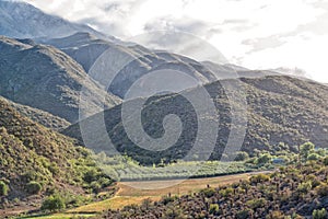 Early morning scene in the Matjiesvlei Valley in the Swartberg