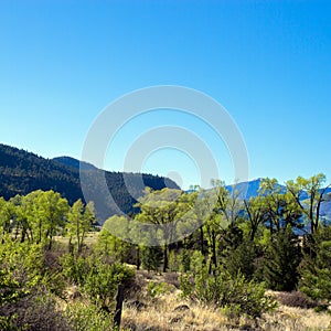 The road to Creede, Colorado, runs along the Rio Grande through the San Juan Mountains photo