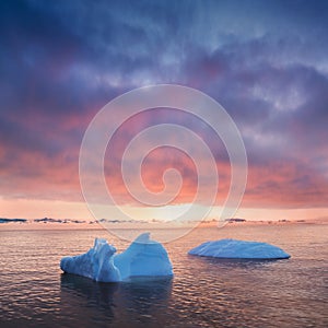 Early morning summer alpenglow lighting up icebergs during midnight season. Ilulissat, Greenland. Summer Midnight Sun and icebergs