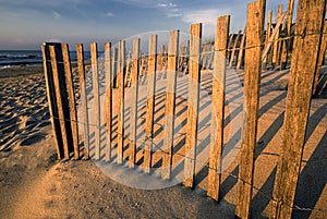 Early morning sun on beach fence