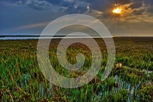 Early Morning Sun Over Coastal Marsh