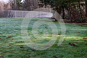Early morning sun in a park with dew covered grass, woods, and fence around a sports field