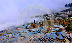 The early morning sun shines on the surface of the terraced fields, the terraced fields dyed five colors