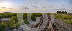 Early morning sunrise over a corn field