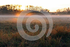 Early Morning Sunrise over a Farm Field with Heavy Fog on the Horizon.