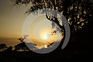 Early Morning Sunrise through the trees over an island and ocean