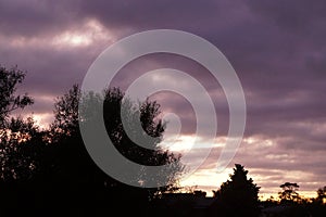 Early morning sunrise in Waikato New Zealand