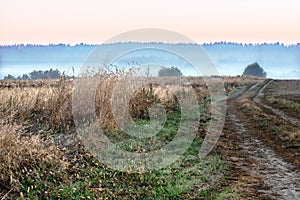 Early in the morning there is fog over the field. Rural landscape with bright colors at sunrise.