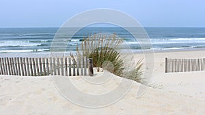 Early morning at Vagueira Beach with sea oats and dune fence in Aveiro, Portugal