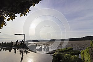 Early morning view of a circular sun halo from beside a boatwreck on Red Wharf Bay, Anglesey, North Wales