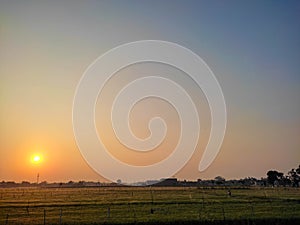 early morning view of a farm field with golden shining sunrise