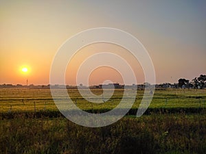 early morning view of a farm field with golden shining sunrise