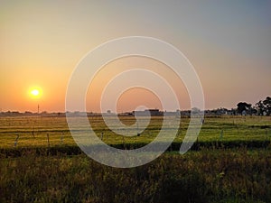 early morning view of a farm field with golden shining sunrise