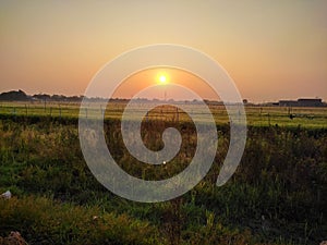 early morning view of a farm field with golden shining sunrise
