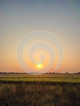 early morning view of a farm field with golden shining sunrise