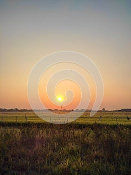 early morning view of a farm field with golden shining sunrise