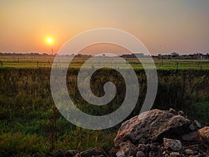 early morning view of a farm field with golden shining sunrise