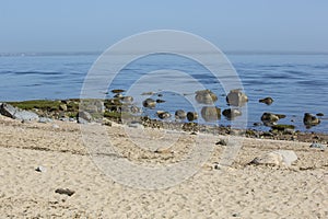 Early Morning View of Long Island Sound, NY