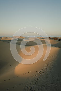 Early morning view in Maspalomas Dunes in Gran Canaria