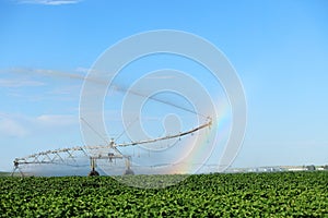 An agricultural sprinkler system, in an Idaho potato field.
