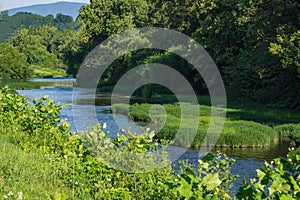 Early Morning View of the Roanoke River