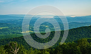 Early Morning View of Shenandoah Valley